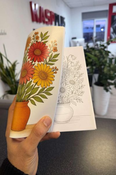 photo_4_2026-01-24_18-44-39